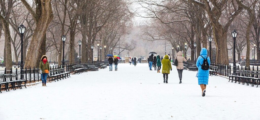 central park: Best Things to Do With Kids in NYC