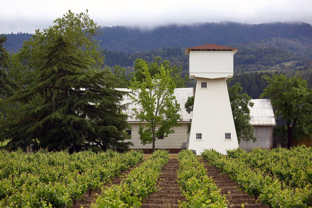 frog's leap winery