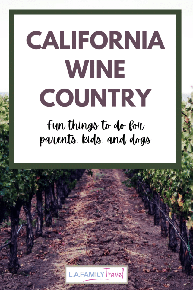 There are so many fun things to do with kids in sonoma and napa counties. California wine country has lots of activities that families can enjoy on a family trip to california wine country. Many wineries are welcoming to kids and dogs and provide fun things to do. 