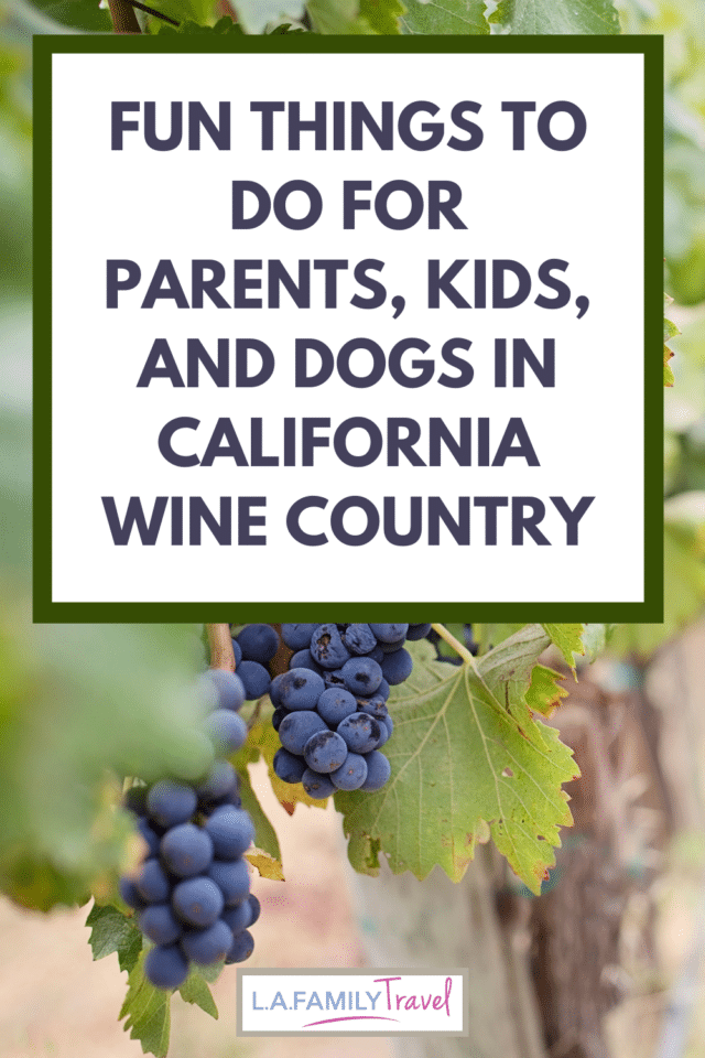 There are so many fun things to do with kids in sonoma and napa counties. California wine country has lots of activities that families can enjoy on a family trip to california wine country. Many wineries are welcoming to kids and dogs and provide fun things to do.