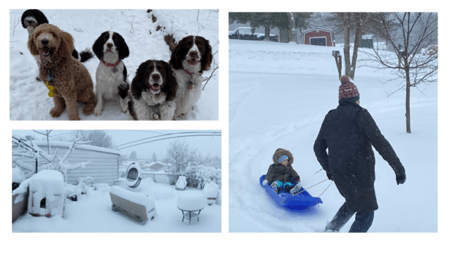 Photos of Snowy Days