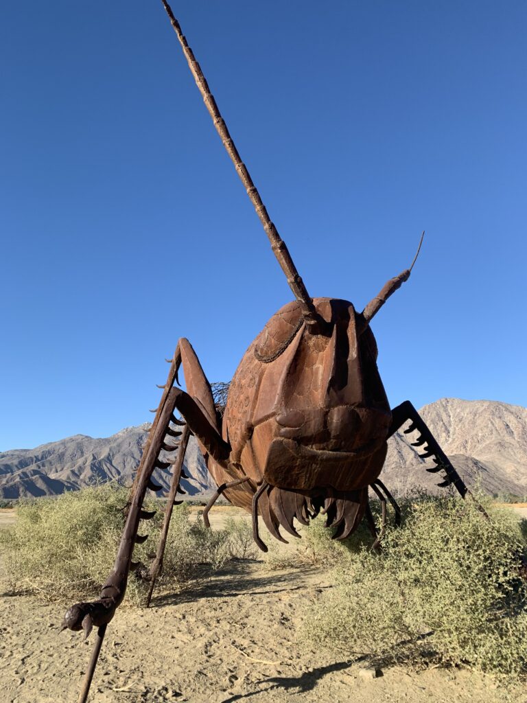 desert art in borrego springs grasshopper