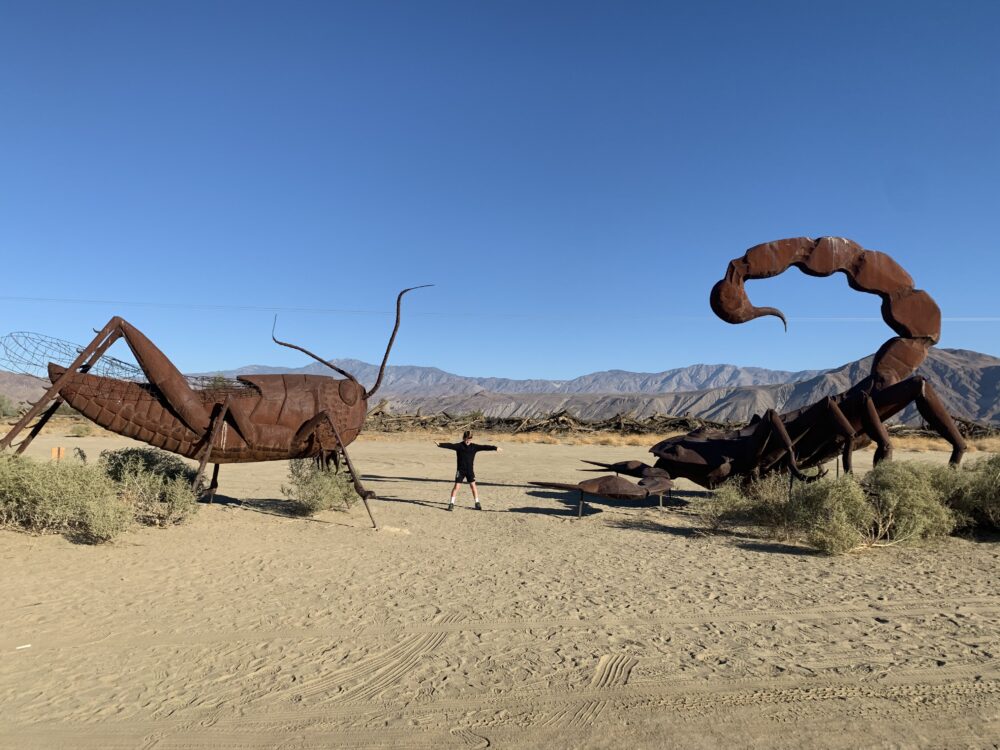 Dueling critters in Borrego Springs family fun at borrego springs, california fun things to do with kids