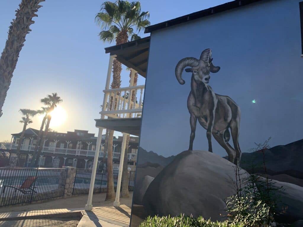 Fun places to stay in the desert