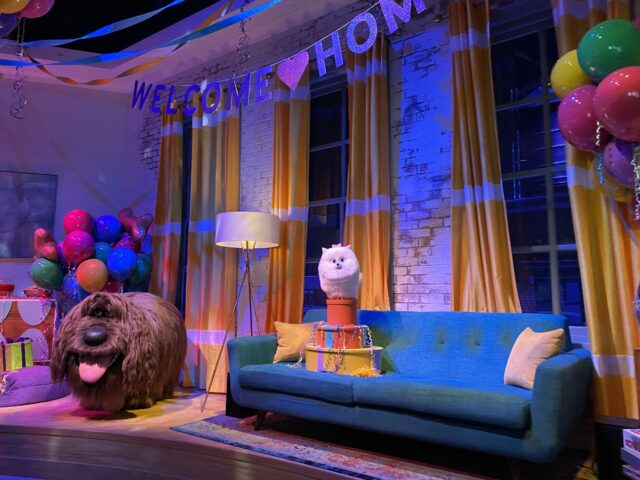 The adoption celebration is the hottest party in town 