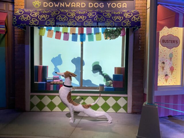 One NYC pup takes in a yoga class -