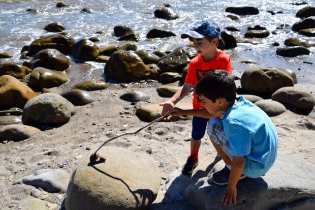camping with kids at el capitan - tidepools