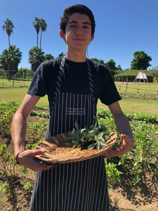 farmer boy - things to do in cabo san lucas with kids