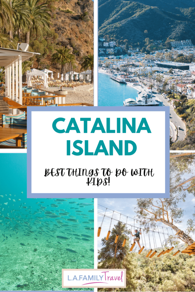 Collage of Catalina Island (clockwise from top left): Descanso Beach, aerial view of the island, Catalina Aerial Adventure, school of fish under the sea - things to do at catalina island with kids