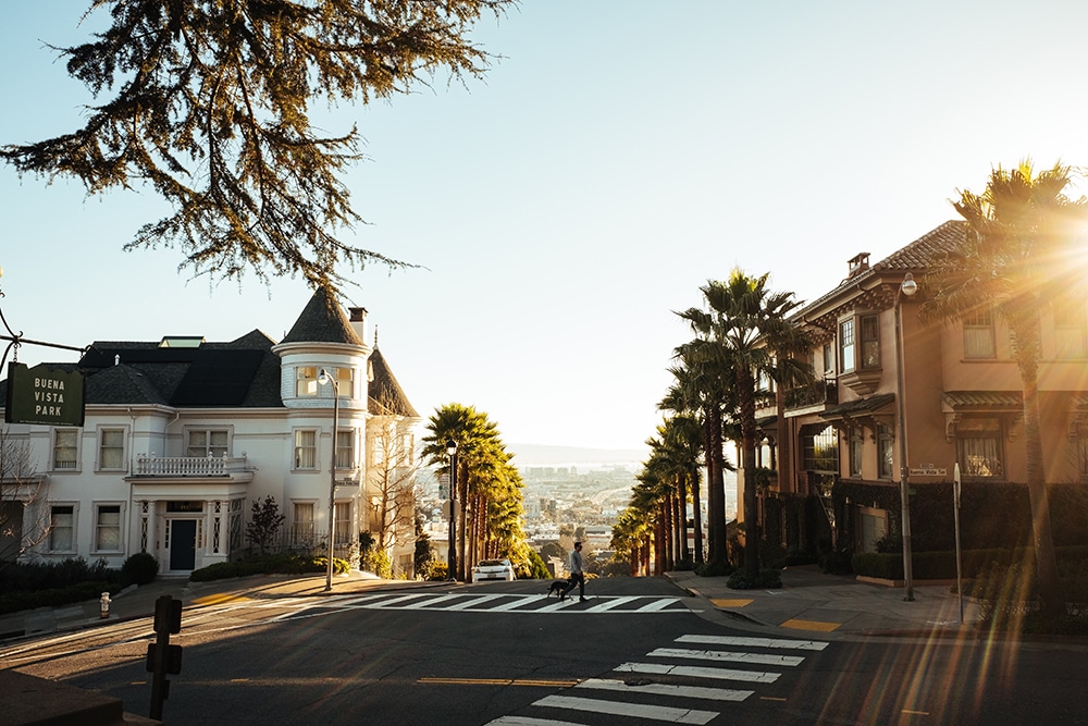 A beautiful San Francisco street corner with palm trees and old buildings. Explore a new city for Labor Day fun and a weekend vacation.