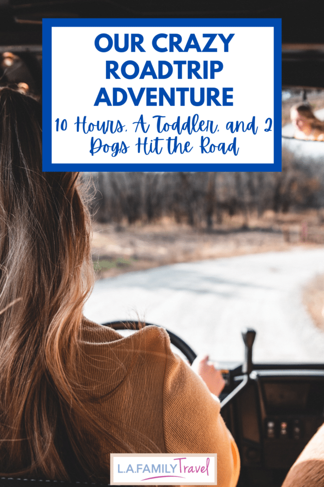 Juggling a toddler and 2 dogs for 10 hours, our road trip was a more than a little crazy. The more the merrier right?