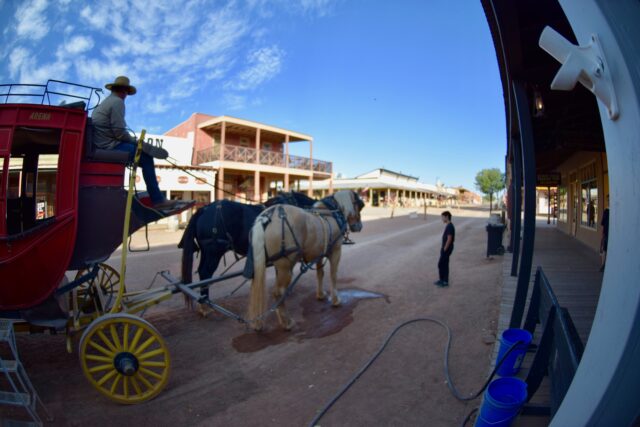 stagecoach with rider and boy looking at horses - things to do in tombstone with kids