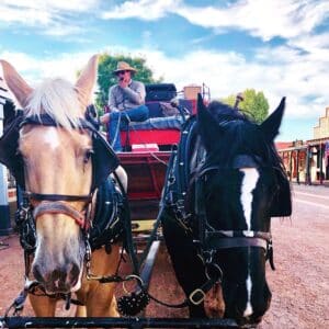stagecoach tour with horses - best things to do in tombstone with kids