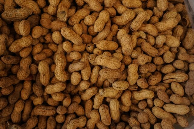 a collection of peanuts. managing food allergies while on vacation