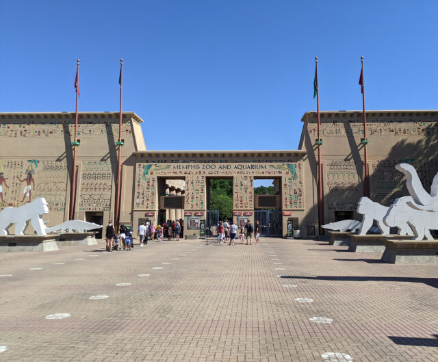 The Egyptian-influenced front gates of the Memphis Zoo are exciting, but don't miss the giant pandas. This is one of the best things to do with kids in Memphis.