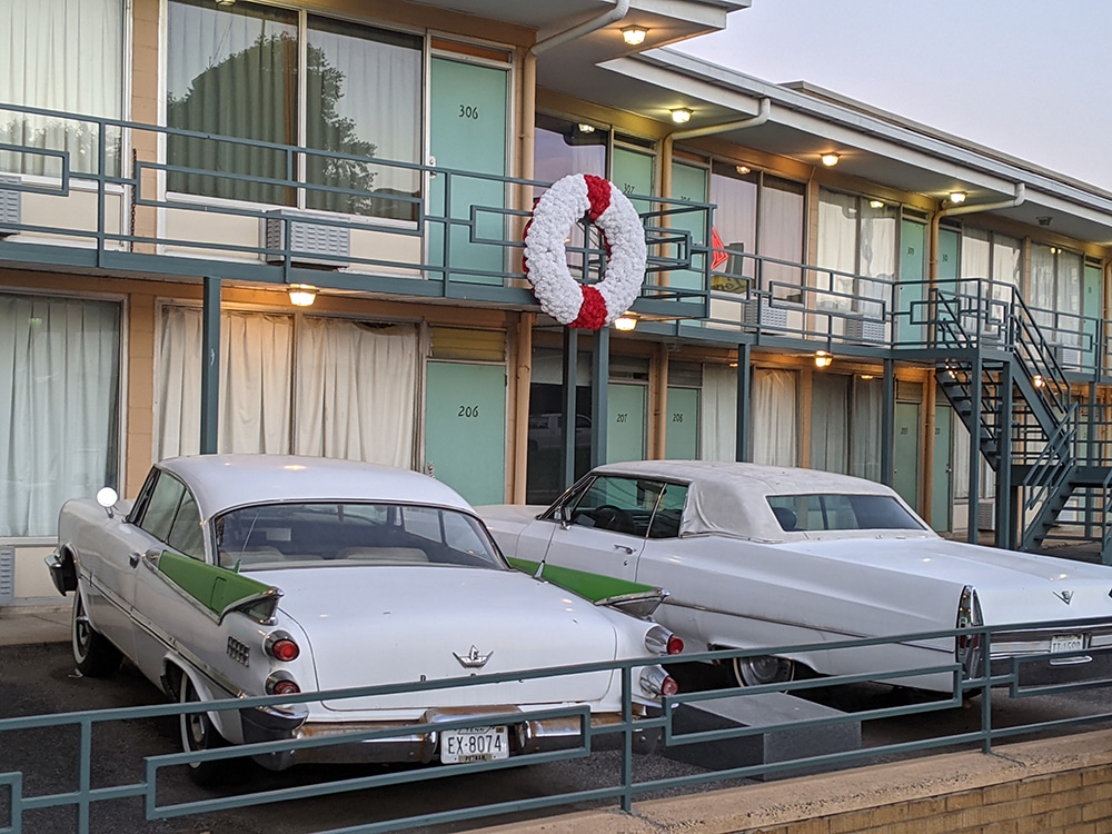 Best Things to Do in Memphis with Kids: Memphis Zoo and Shelby Farms Park