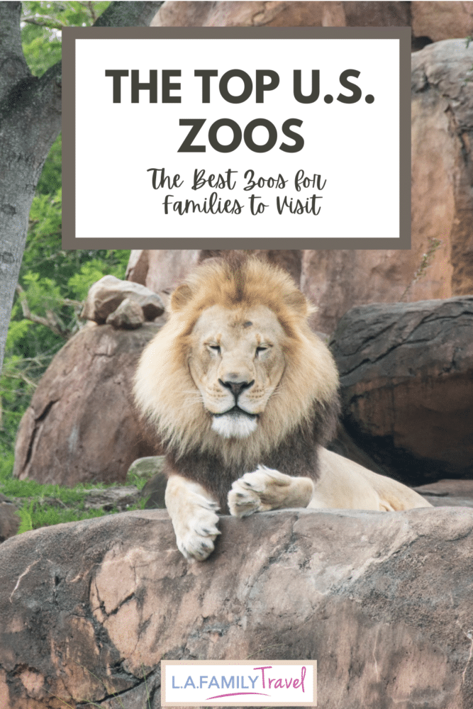 The Top U.S. Zoos: The Best Zoos for Families to Visit