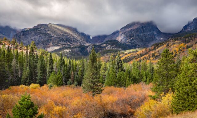 Pine trees in the foreground with the Rocky Mountains in the back.Fall in Denver: The Best 5 Things to do With Kids family travel halloween