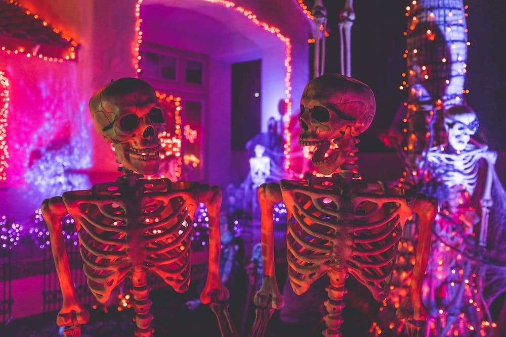 two skeletons with purple-red light behind them.Fall in Denver: The Best 5 Things to do With Kids family travel halloween