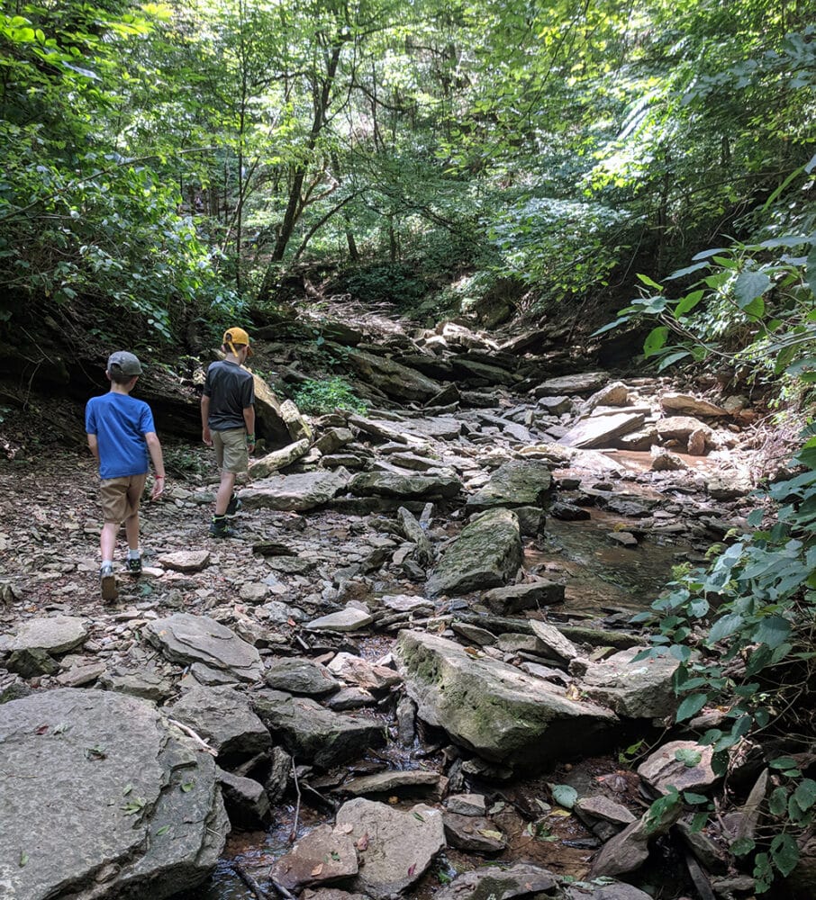 Two kids hike near the Natchez Trace. The best family activities in Franklin, Tennessee, best fall activities in Franklin.
