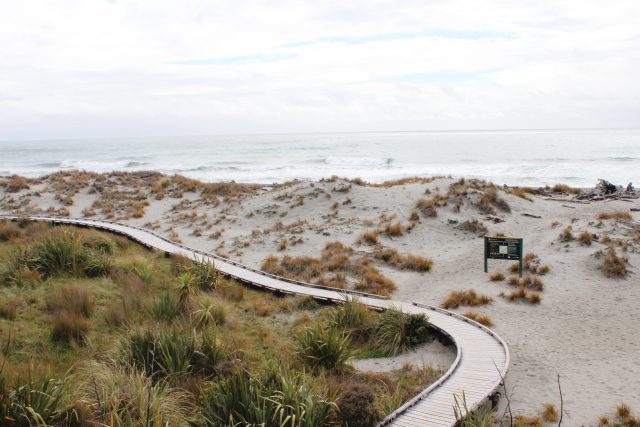sand dunes - Top 5 St. Augustine beaches for families