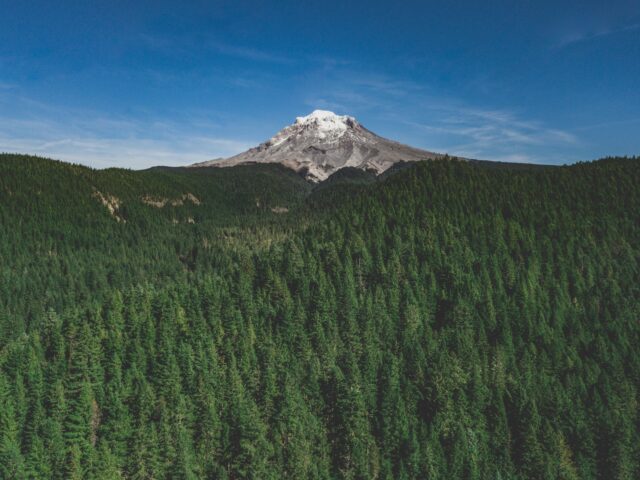 Mt. Hood standing proud over a blanket of trees: best things to do with kids at Mt. Hood