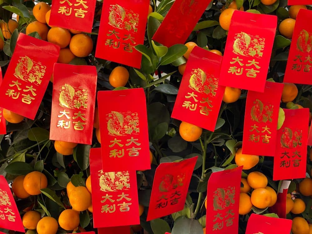 Oranges At The Flower Market Fair - Best Family Fun At The Chinese New Year Festival And Parade