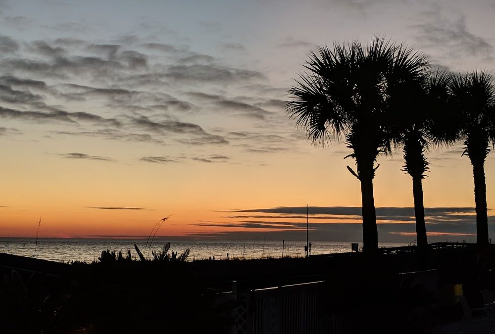 Kid-Friendly Restaurants on the Gulf Coast