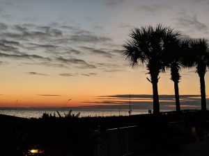Kid-Friendly Restaurants on the Gulf Coast. A beach sunset with palm trees in the background.