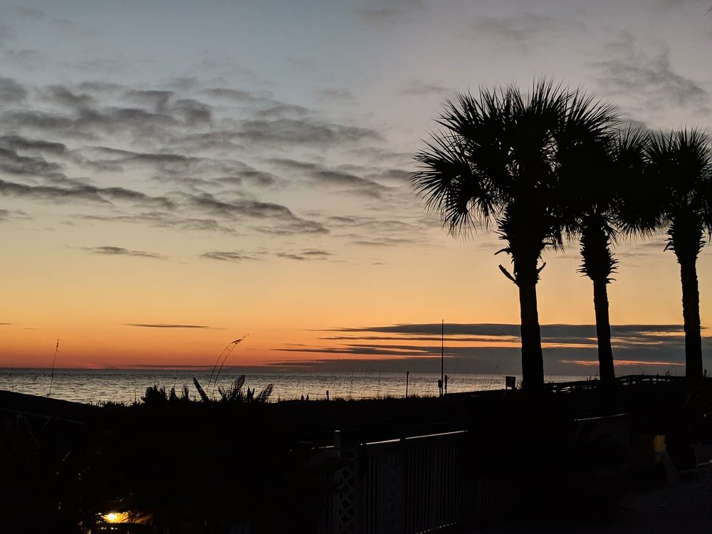 GulfRestaurantsFeatured Kid-Friendly Restaurants on the Gulf Coast. A beach sunset with palm trees in the background.
