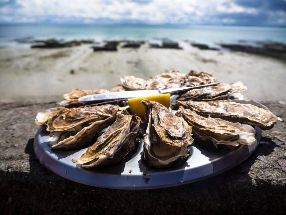 oysters on a plate with ocean in background - 