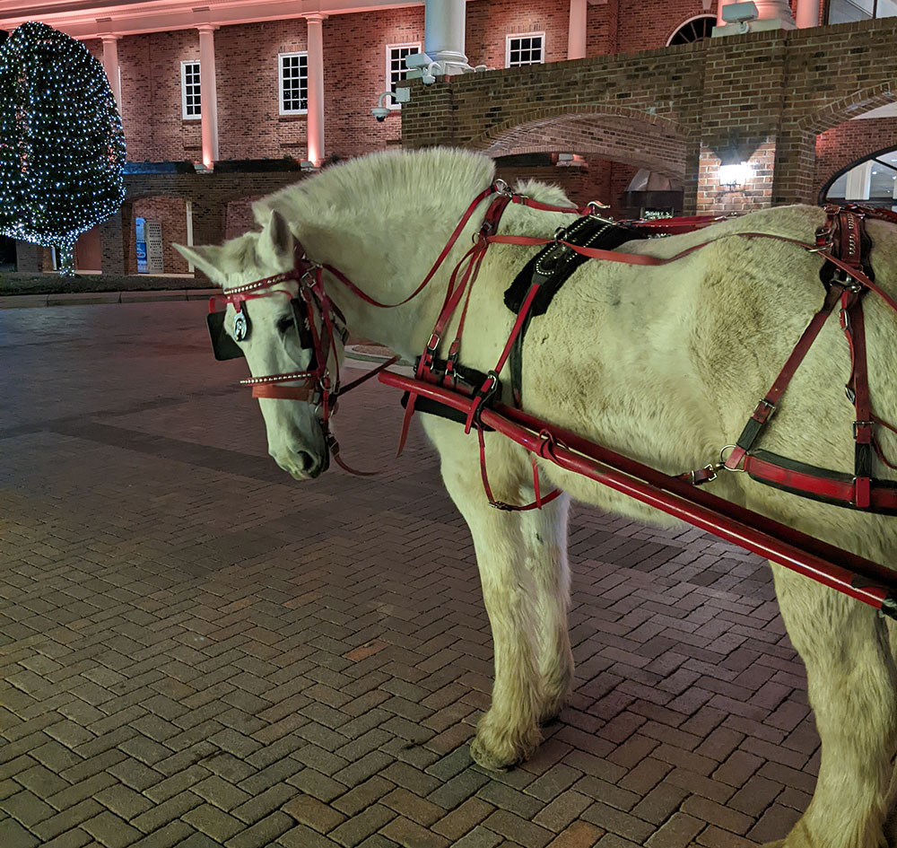 A classic horse-drawn carriage adds a romantic detail to Winterfest at Gaylord Hotels