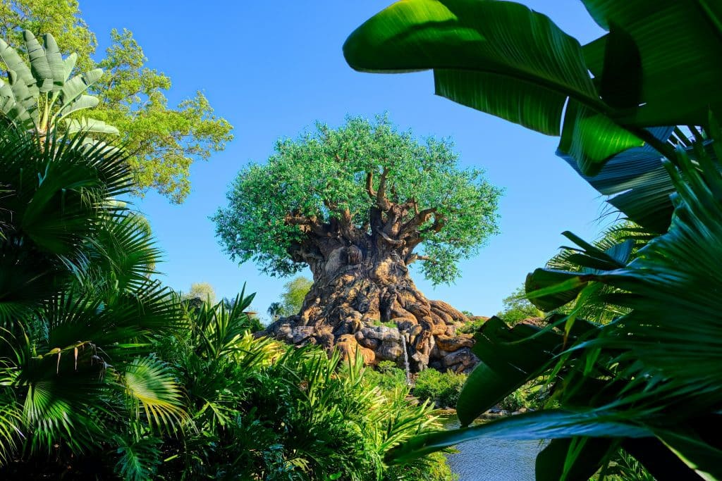 Tree of Life in Animal Kingdom at Walt Disney World