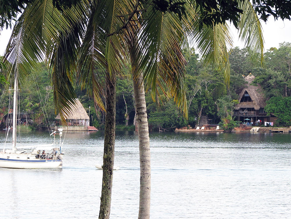 Sustainable travel: palm trees and local houses on the water in Guatemala