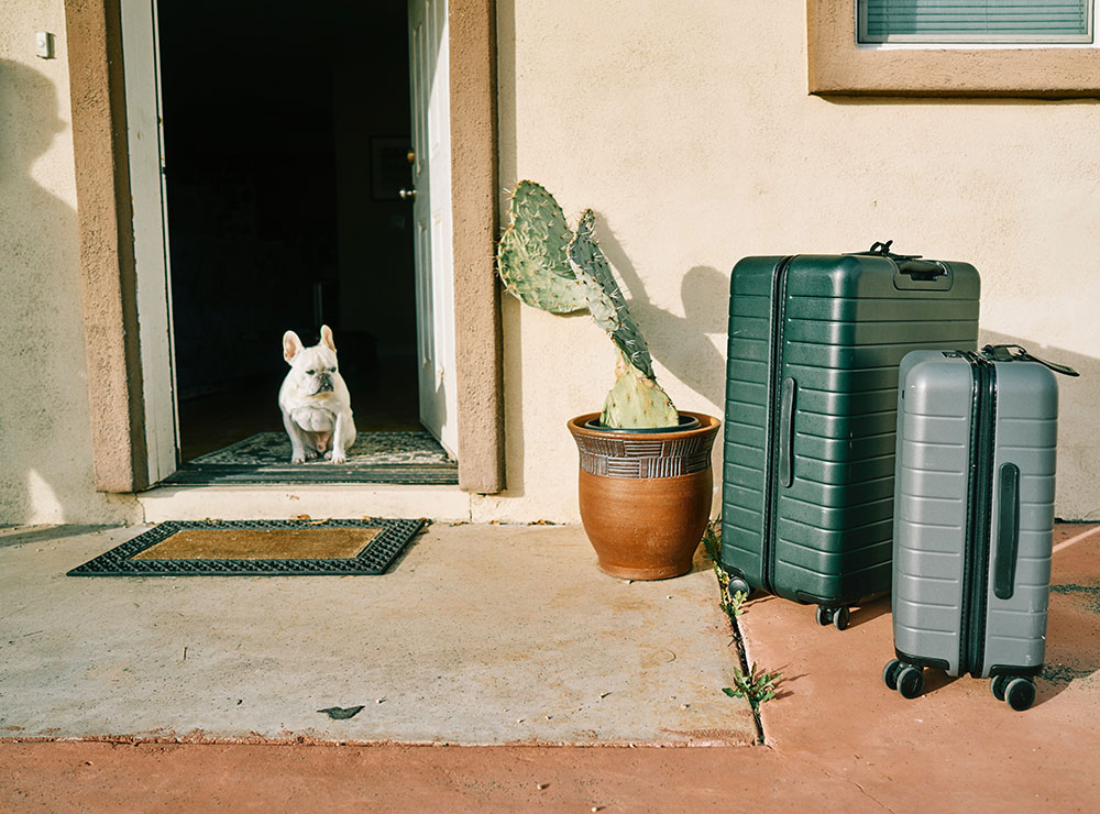 A dog sits in a doorway and looks at suitcases outside a house. Travel sustainably by packing light. 