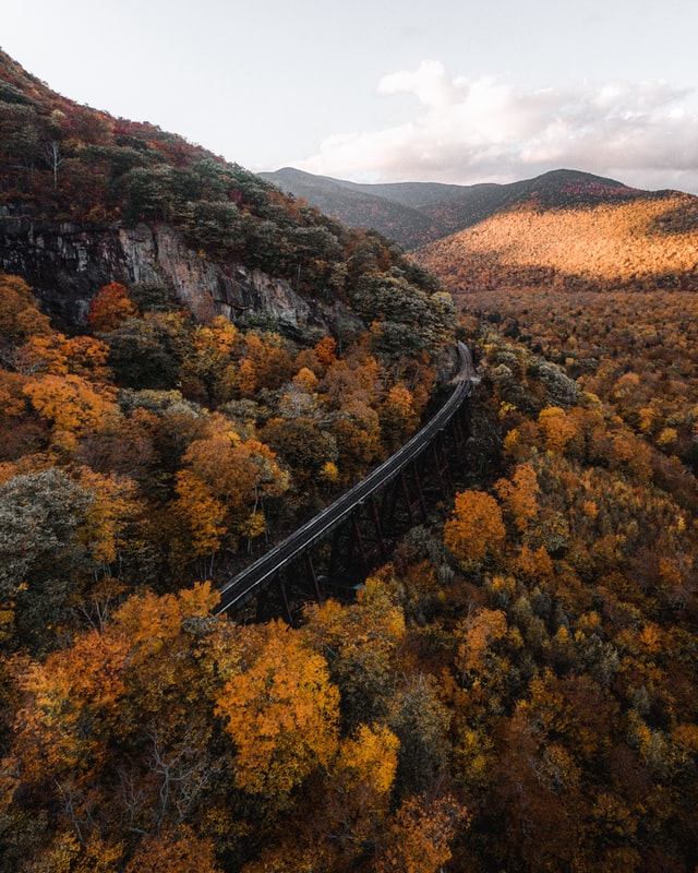 Frankenstein Trestle in Crawford Notch - 13 Best Hikes In New England For Families