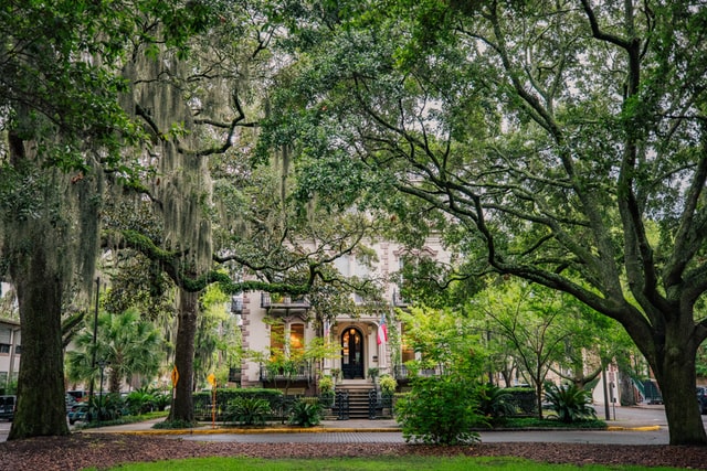 Lush Square in Savannah, GA - Things To Do With Kids in Savannah, GA