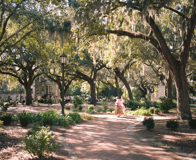 A Park in Savannah, GA - Things To Do With Kids in Savannah, GA