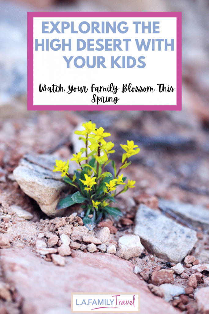 pin for Things To Do in Moab, Utah with Kids In Spring