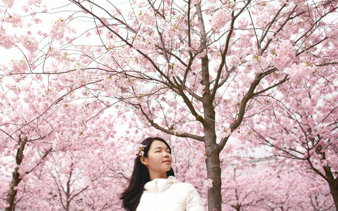 Fun Family Getaway at the SF Cherry Blossom Festival