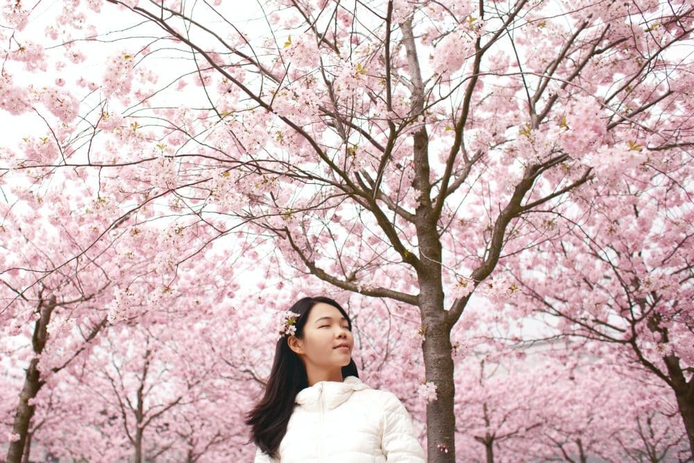 Woman beneath cherry blossom trees - Fun Family Getaway at the SF Cherry Blossom Festival