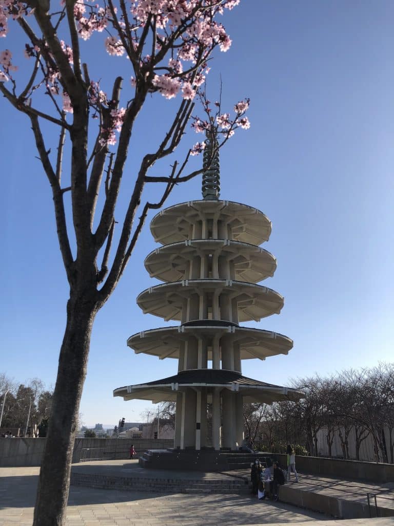 Cherry Blossoms at the SF Peace Plaza - Fun Family Getaway at the SF Cherry Blossom Festival