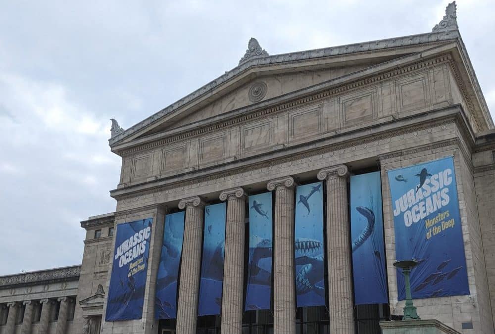 Why the Field Museum Is the Best Kids Museum in Chicago