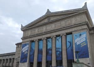 The Field Museum of Natural History in Chicago is great for kids and families.