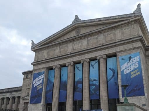 Why the Field Museum Is the Best Kids Museum in Chicago