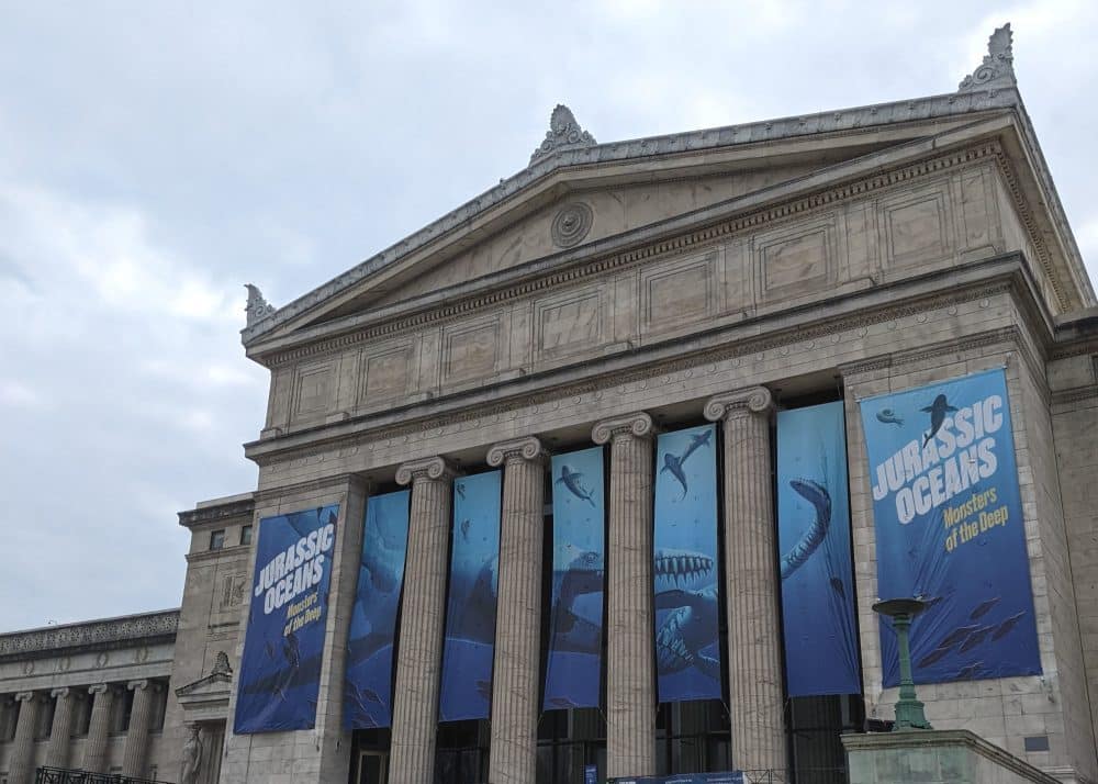 FieldMuseum_Featured The Field Museum of Natural History in Chicago is great for kids and families.