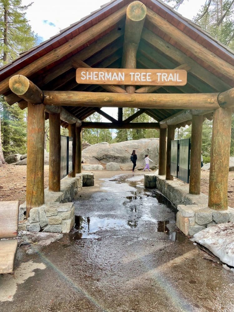 Sherman Tree Trailhead - things to do in visalia
