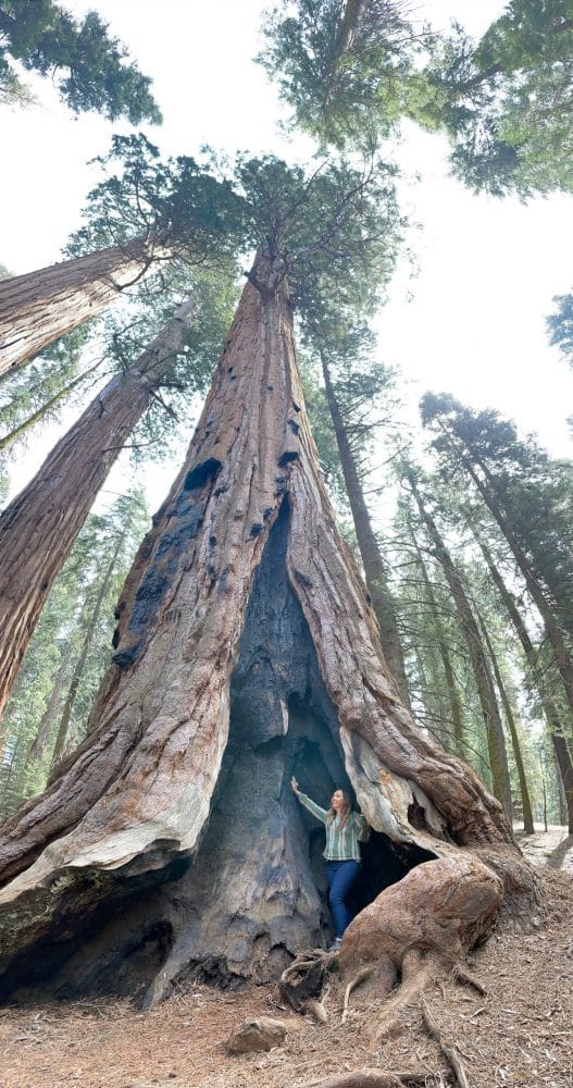 things to do in visalia