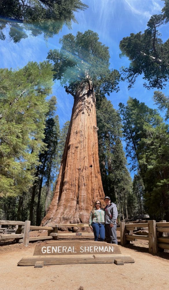 General Sherman Tree - things to do in visalia