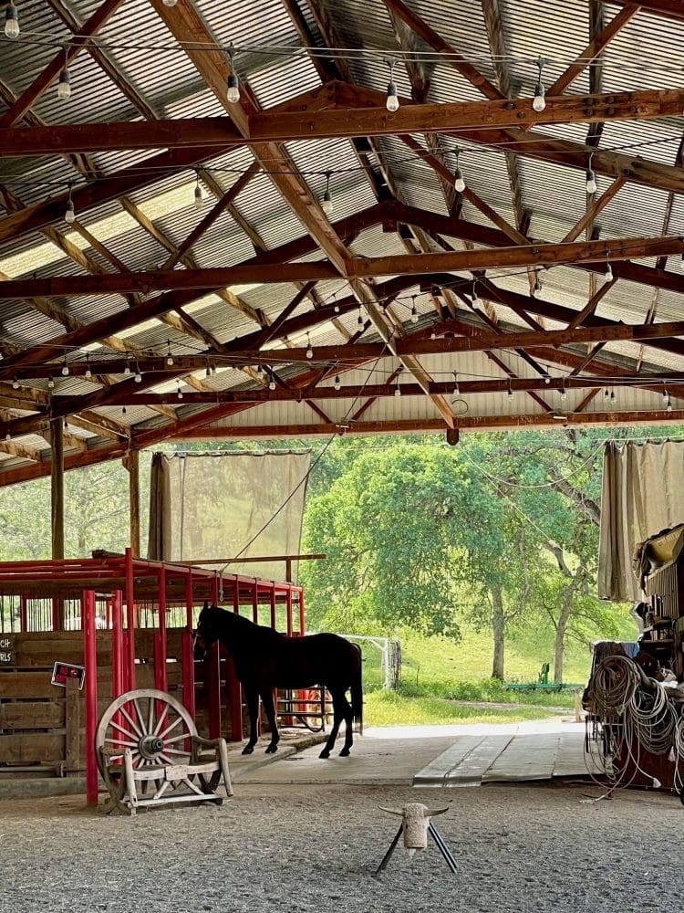 inside of a barn - things to do in visalia